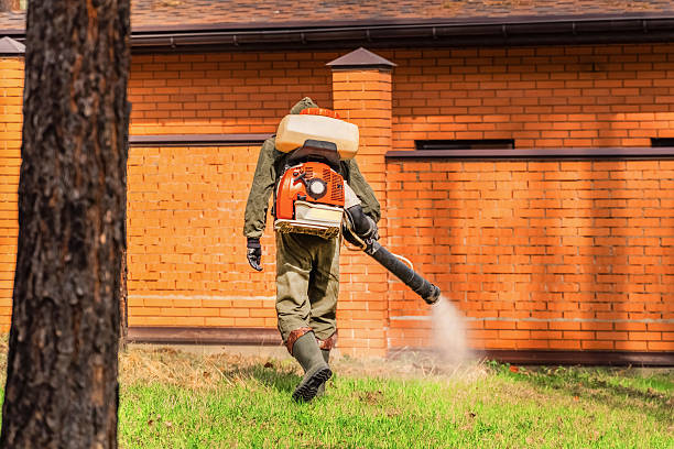Trusted Mosquito Control service in Brookdale, NJ - Nex Pest Control